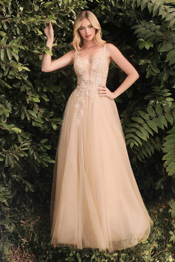 Floral Applique Tulle Gown by Cinderella Divine CB075